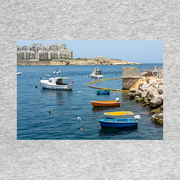 Traditional wooden fishing boats in Malta by lena-maximova